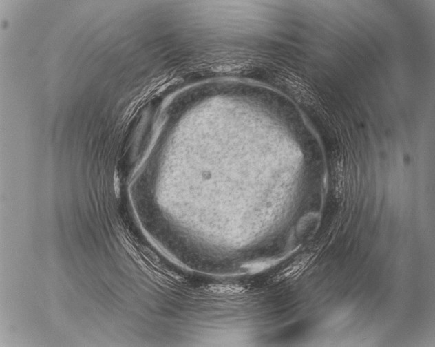 X0000057080644200509231625