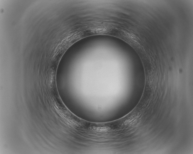 X0000057080645200509231625