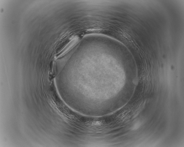 X0000057080647200509231625