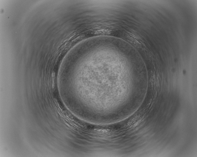 X0000057080649200509231625