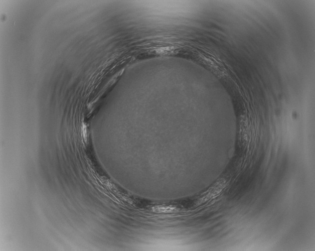 X0000057080650200509231625