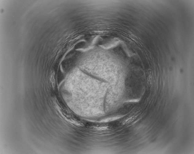 X0000057080651200509231625