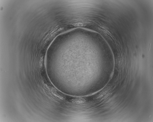 X0000057080652200509231625