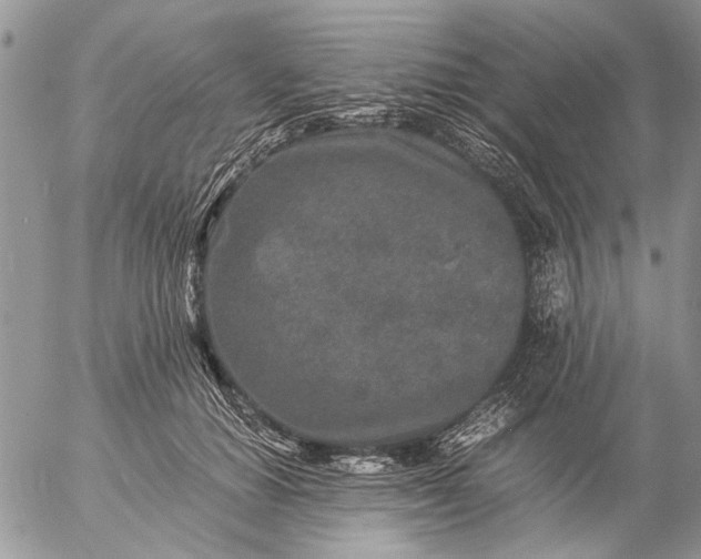 X0000057080654200509231625