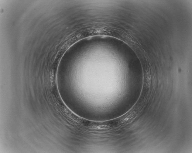 X0000057080657200509231625