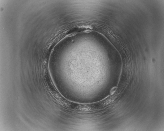 X0000057080658200509231625