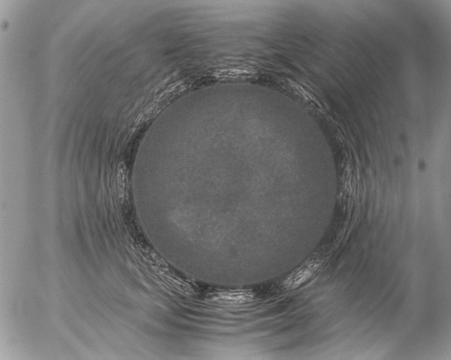 X0000057080659200509231625