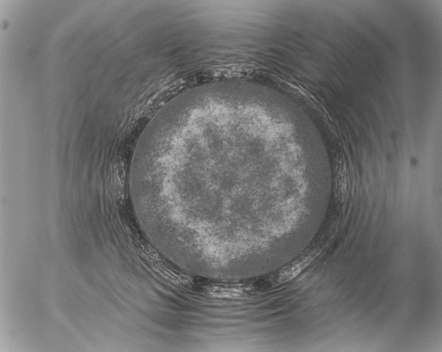 X0000057080661200509231625