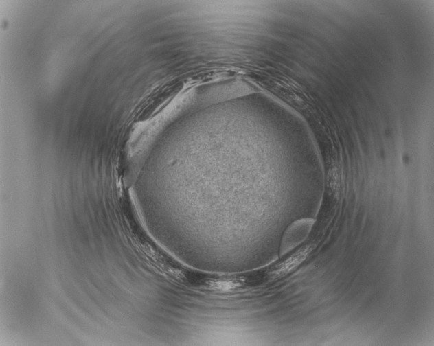 X0000057080662200509231625