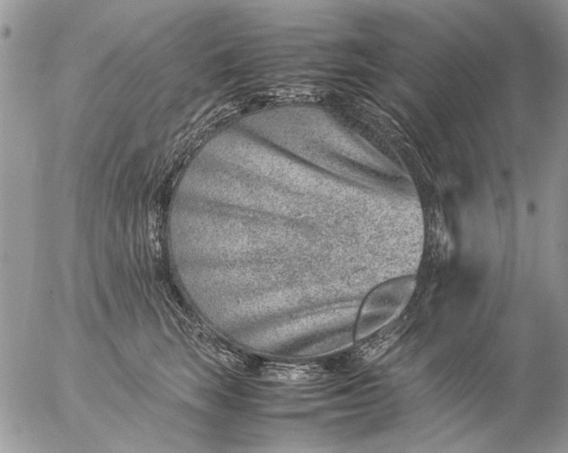 X0000057080663200509231625