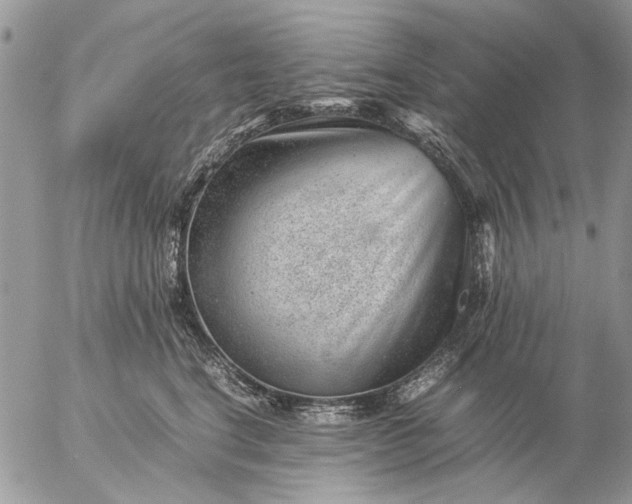 X0000057080664200509231625