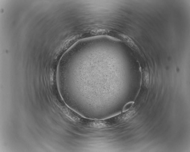 X0000057080668200509231625