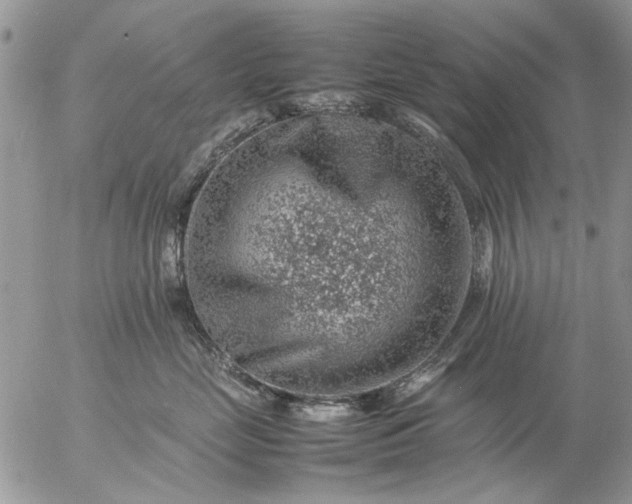 X0000057080669200509231625