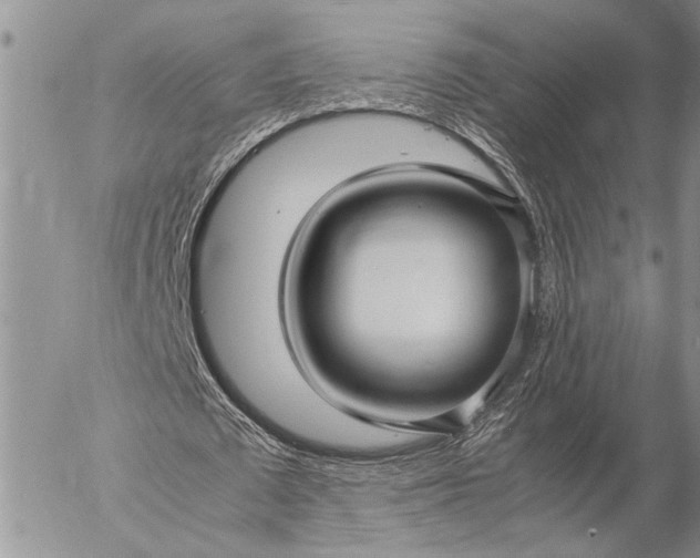 X0000057080673200509231624