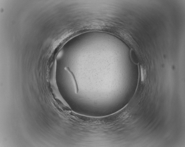 X0000057080675200509231624