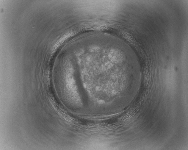 X0000057080679200509231624