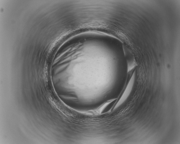 X0000057080680200509231624