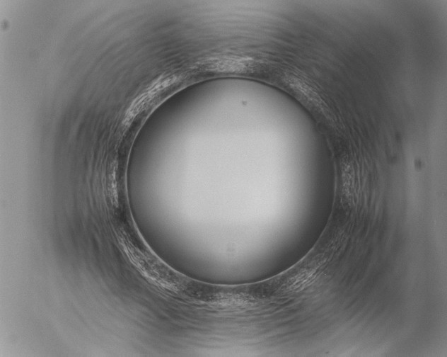 X0000057080682200509231624