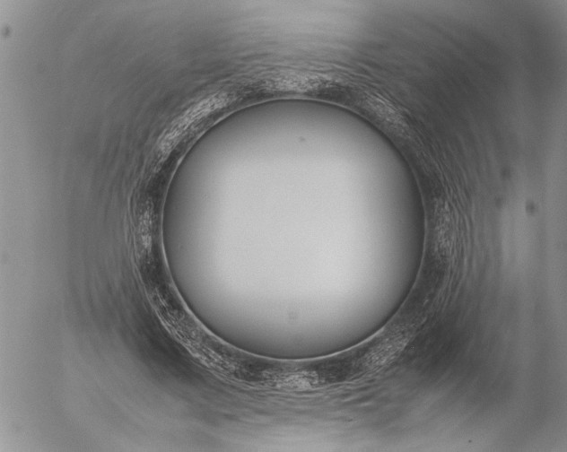 X0000057080683200509231624