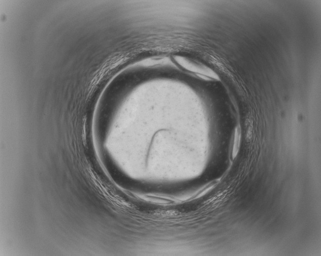 X0000057080685200509231624