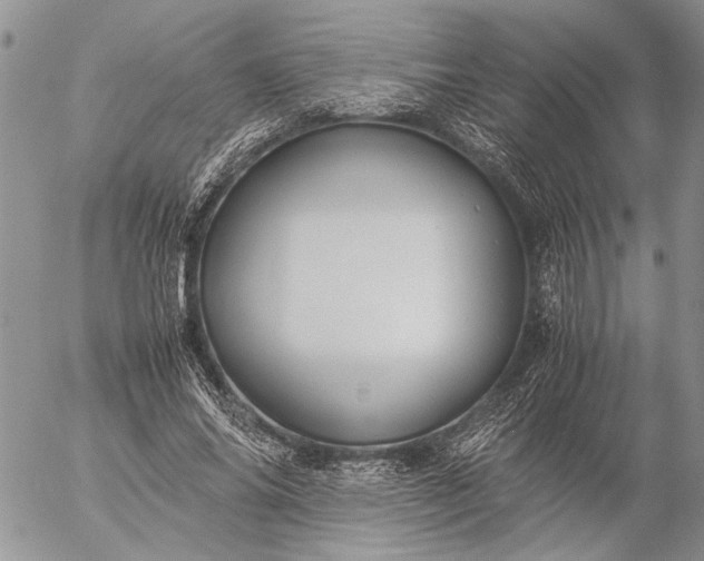 X0000057080686200509231624