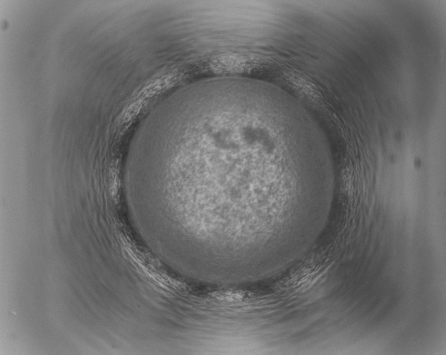 X0000057080687200509231624