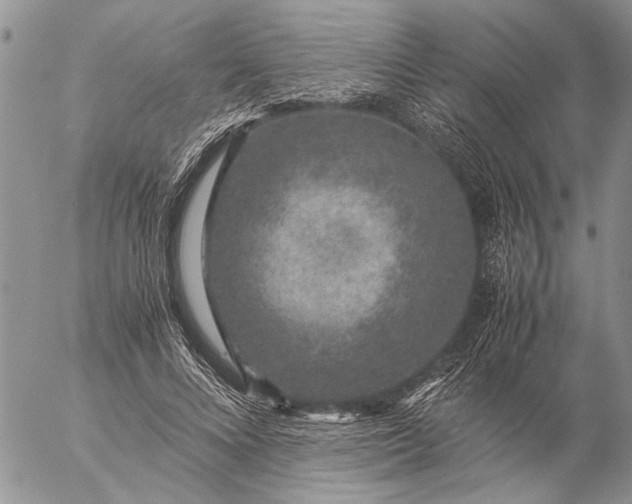 X0000057080688200509231624