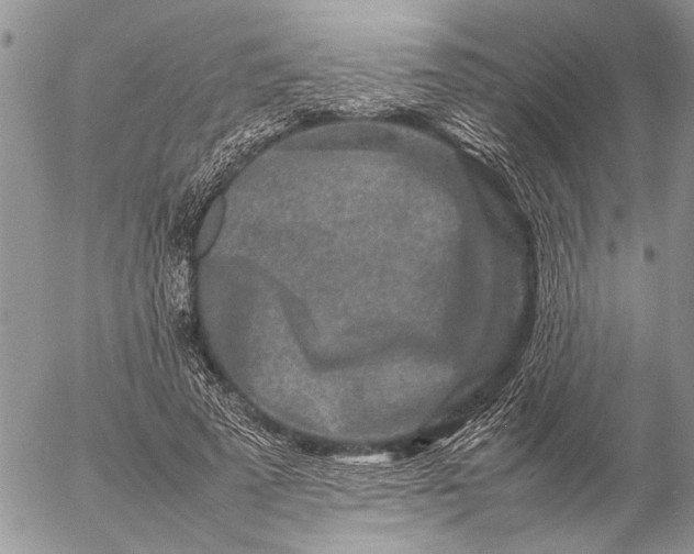 X0000057080689200509231624