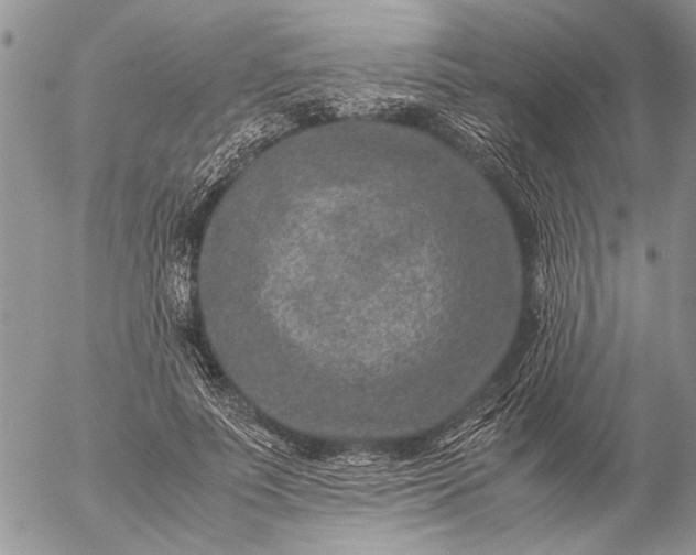 X0000057080691200509231624