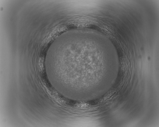 X0000057080695200509231624