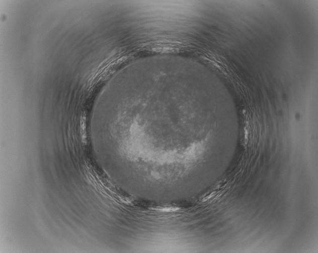 X0000057080696200509231624