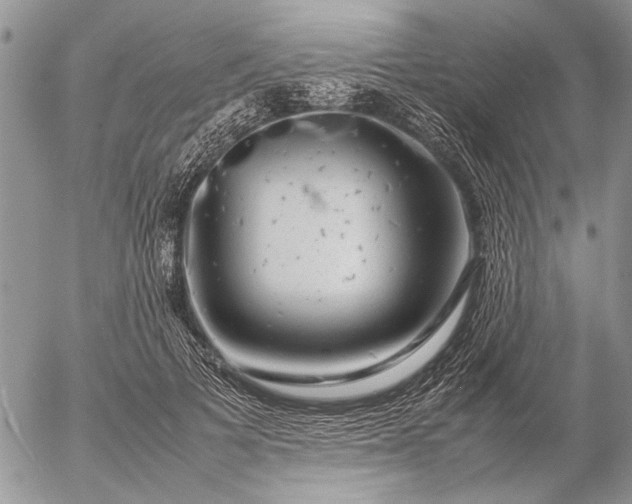 X0000057080697200509231624