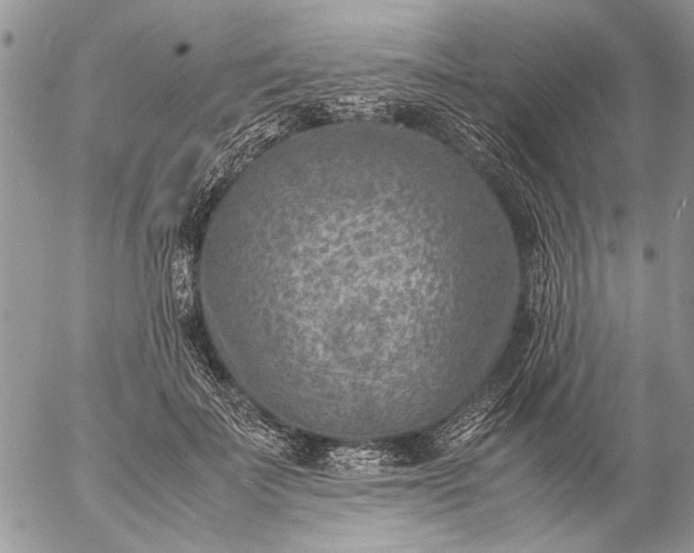 X0000057080699200509231624