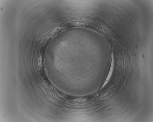 X0000057080700200509231624