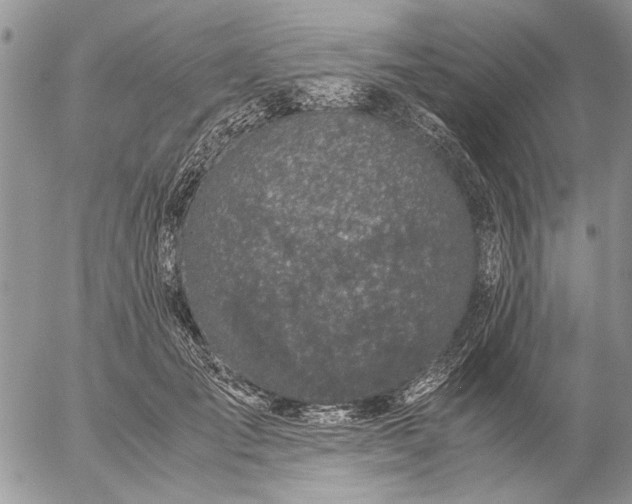 X0000057080701200509231624