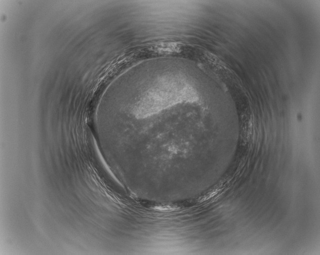 X0000057080704200509231624