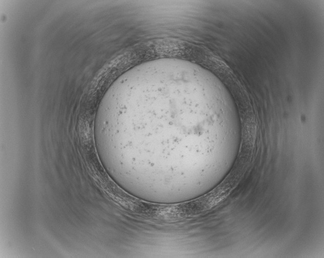 X0000057080705200509231624