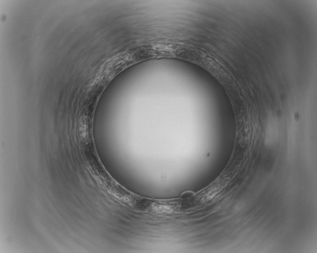 X0000057080706200509231624