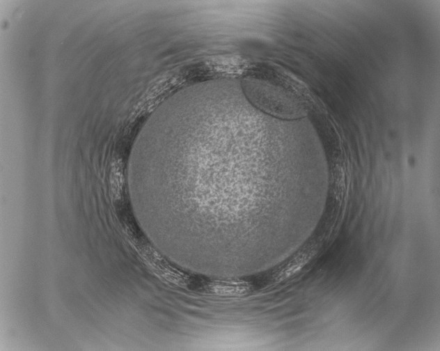 X0000057080707200509231624