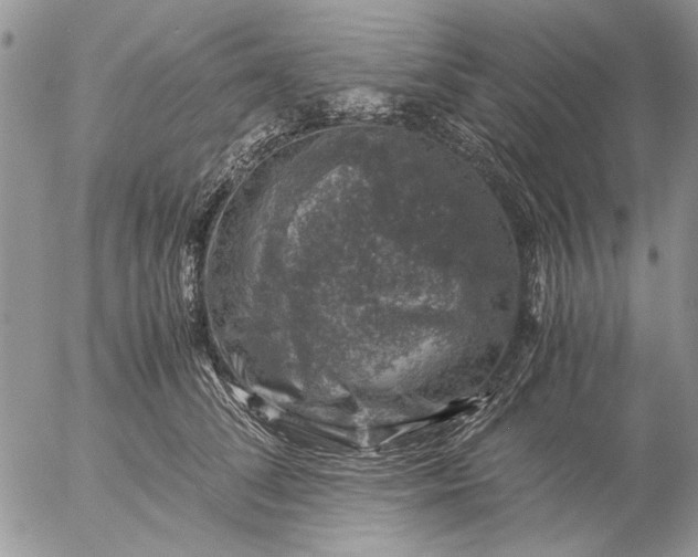 X0000057080708200509231624