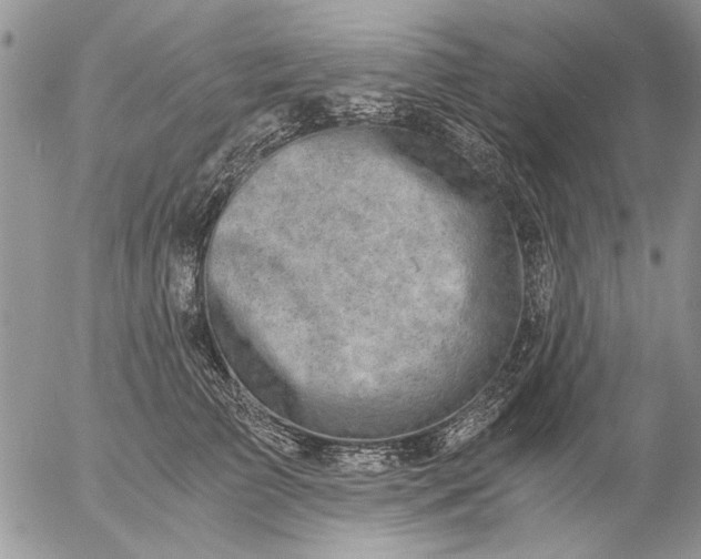 X0000057080709200509231624