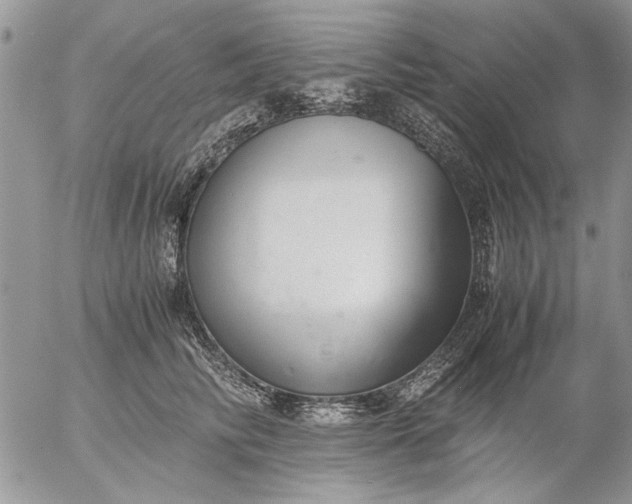 X0000057080710200509231624