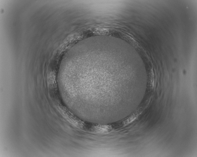 X0000057080711200509231624