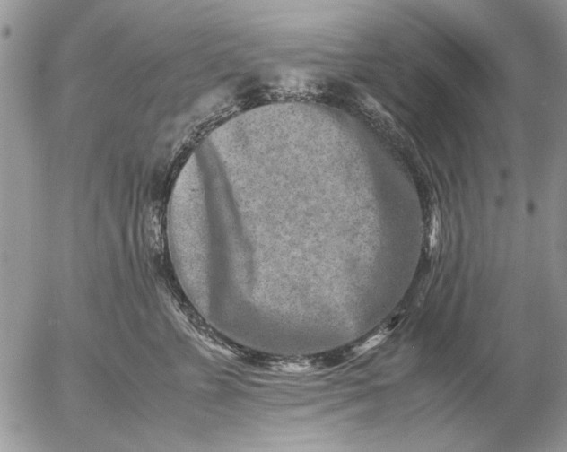 X0000057080715200509231624