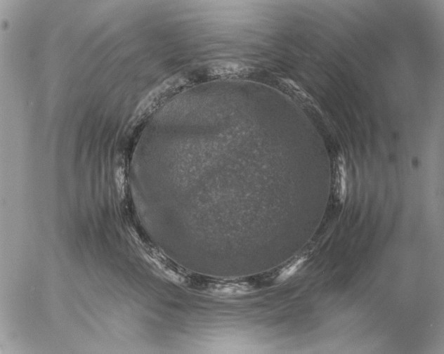 X0000057080716200509231624