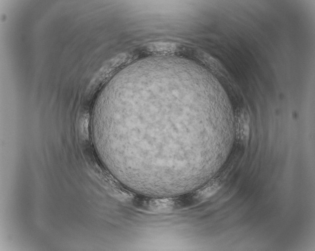 X0000057080717200509231624