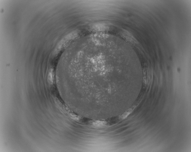 X0000057080718200509231624