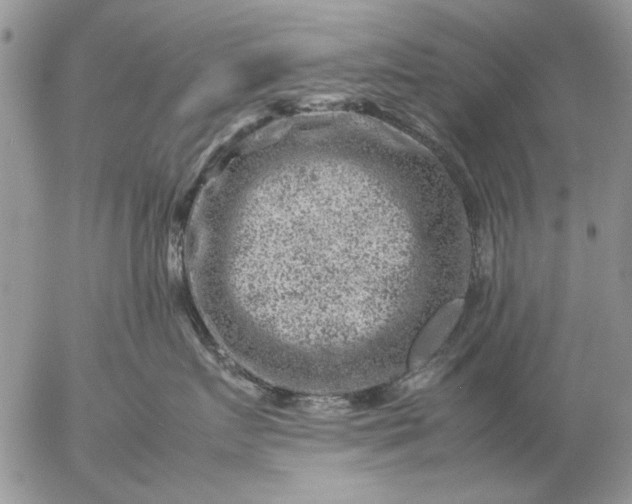 X0000057080719200509231624