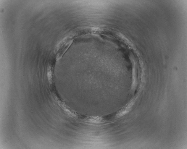 X0000057080720200509231624