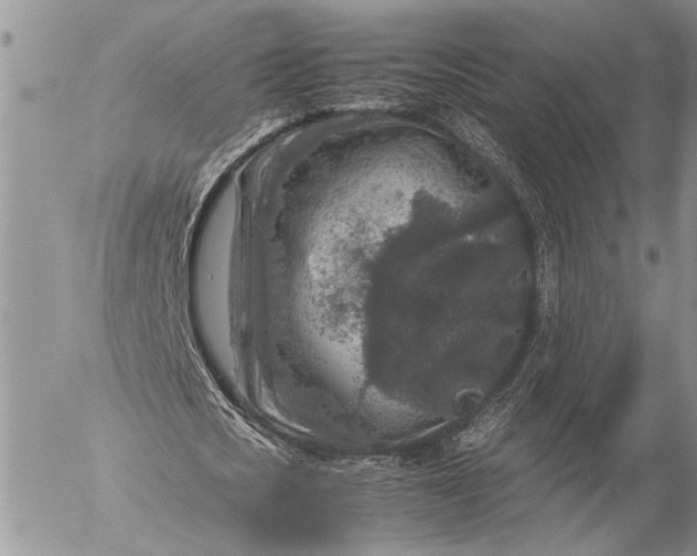 X0000057080721200509231623